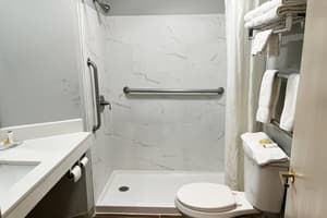 thumbnail: Accessible bathroom