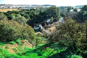 thumbnail: View from property