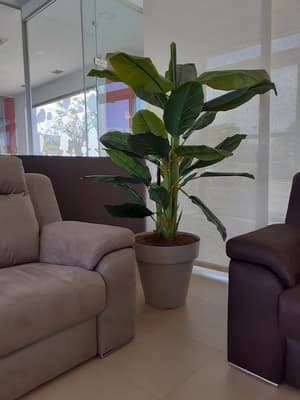 thumbnail: Reception