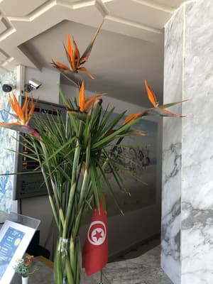 thumbnail: Reception hall
