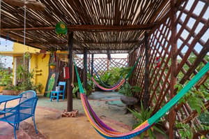thumbnail: Terrace/patio