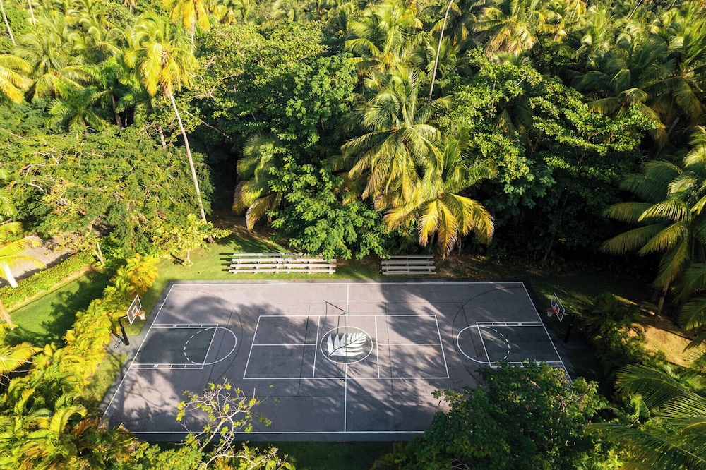 Basketball court