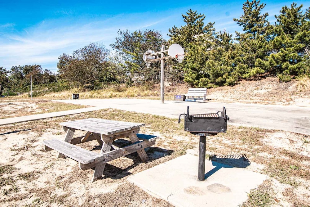 Basketball court