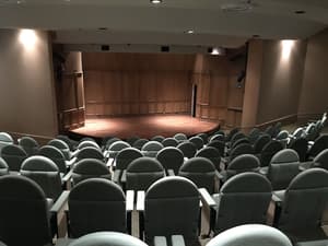 thumbnail: Theater show