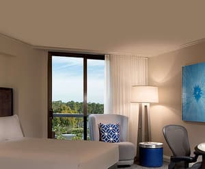thumbnail: View from room