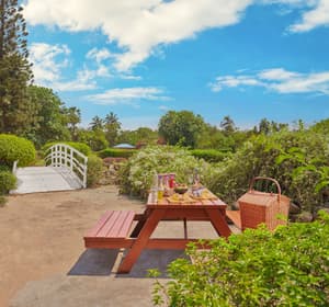 thumbnail: Garden