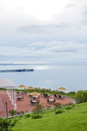 thumbnail: Terrace/patio