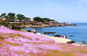 thumbnail: Beach
