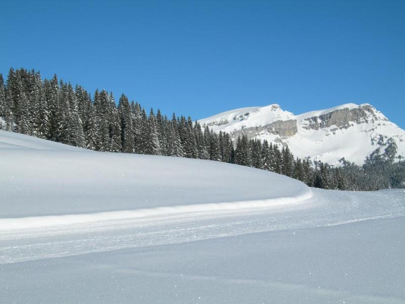General view