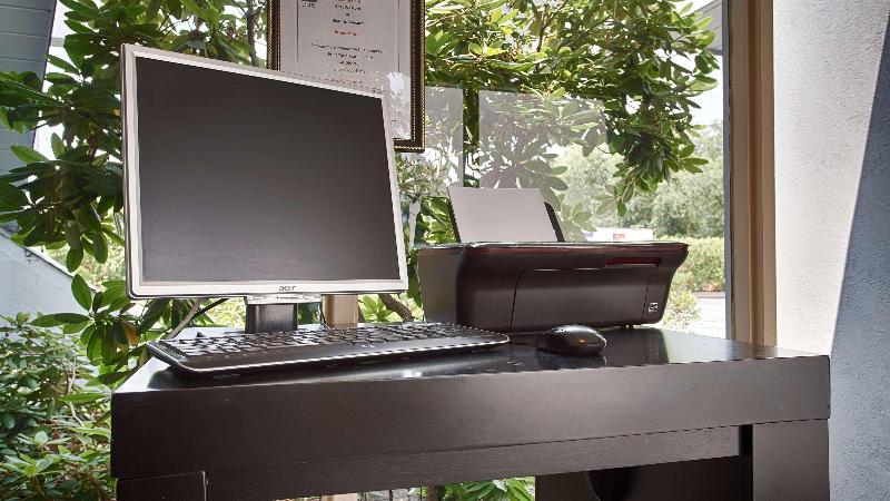 Conferences