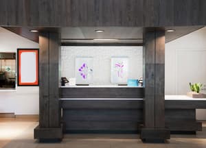 thumbnail: Reception