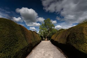 thumbnail: Garden