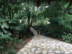 thumbnail: Property grounds
