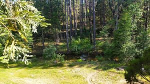 thumbnail: General view