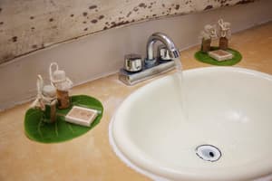 thumbnail: Bathroom amenities