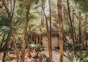thumbnail: Exterior