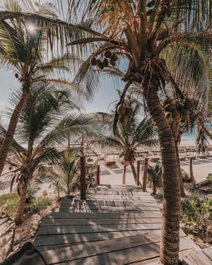 thumbnail: Beach/ocean view