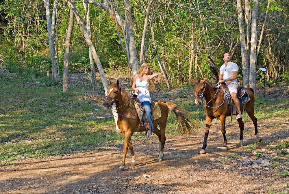 Horseback riding