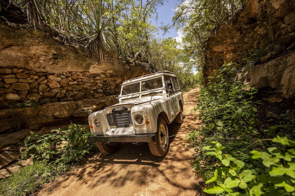 Ecotours