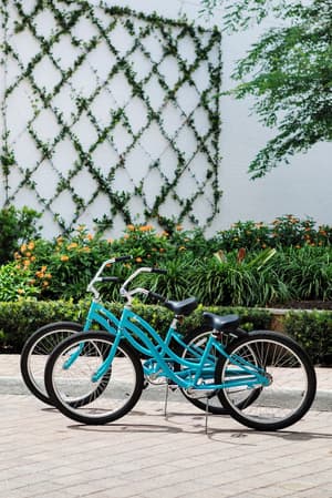 thumbnail: Bicycling