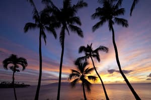 thumbnail: View from property
