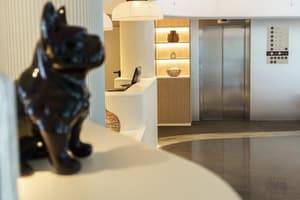 thumbnail: Reception