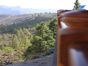 thumbnail: General view