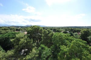 thumbnail: View from room