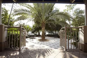 thumbnail: Terrace/patio