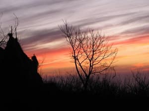thumbnail: General view