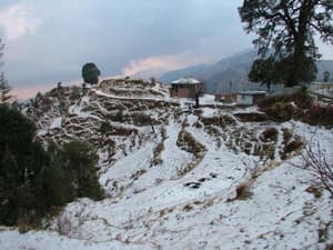 thumbnail: General view