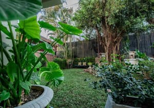 thumbnail: Garden