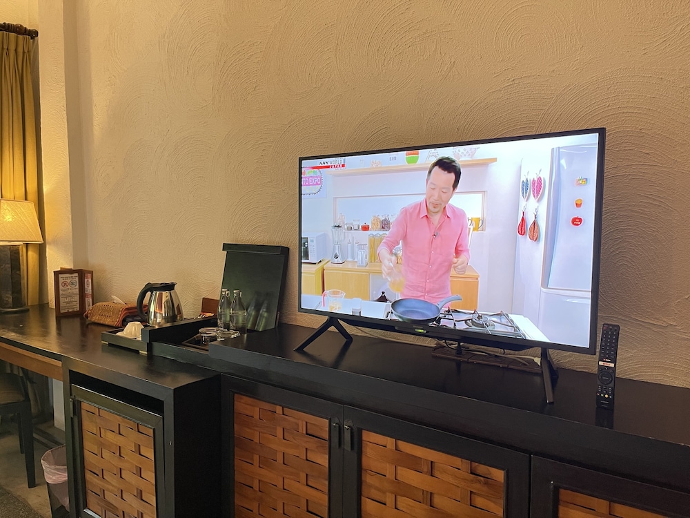 Television
