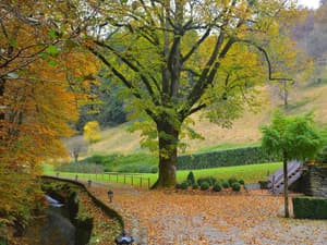 thumbnail: Property grounds