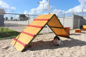 thumbnail: Pet-friendly amenities