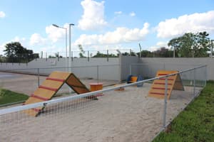 thumbnail: Pet-friendly amenities