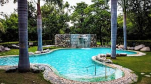 thumbnail: Garden