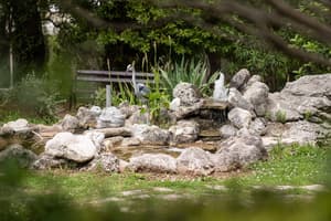 thumbnail: Garden