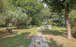 thumbnail: Garden