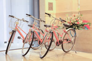 thumbnail: Bicycling