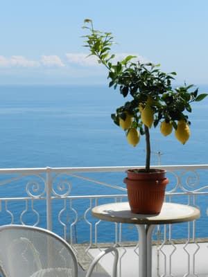 thumbnail: Balcony