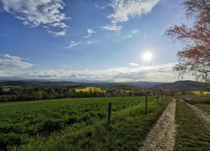 thumbnail: View from property