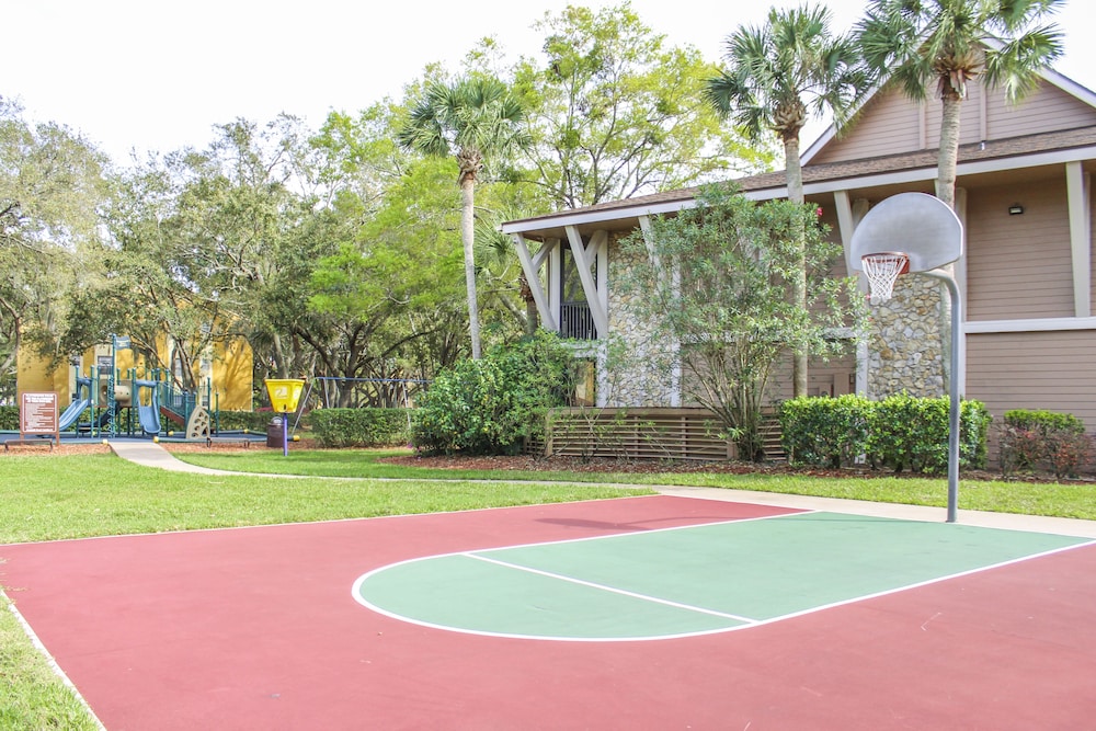 Basketball court