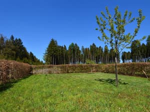 Kastellaun thumbnail