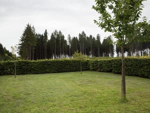 Kastellaun thumbnail