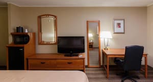 thumbnail: General view