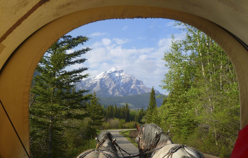 Horseback riding