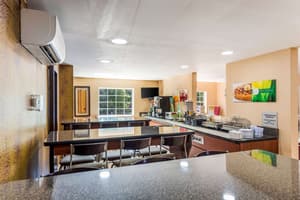 thumbnail: Dining