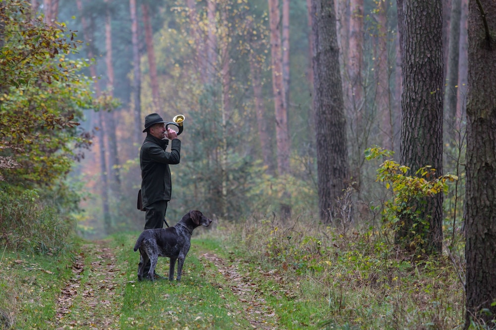 Hunting