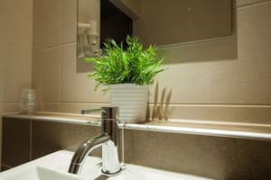 thumbnail: Bathroom sink
